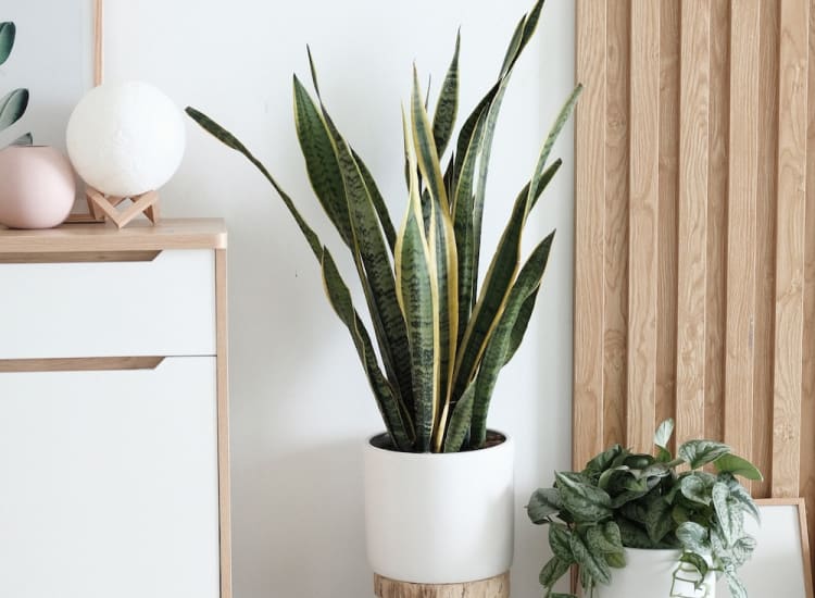 Home Office Storage Ideas to Boost Productivity in 2023.