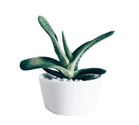 offer-shape