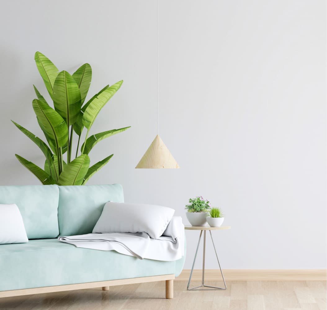banner-slider